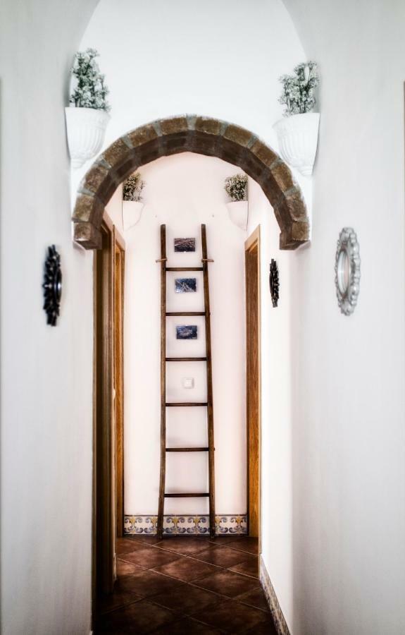 Casa Vitoria Guest House Évora Extérieur photo